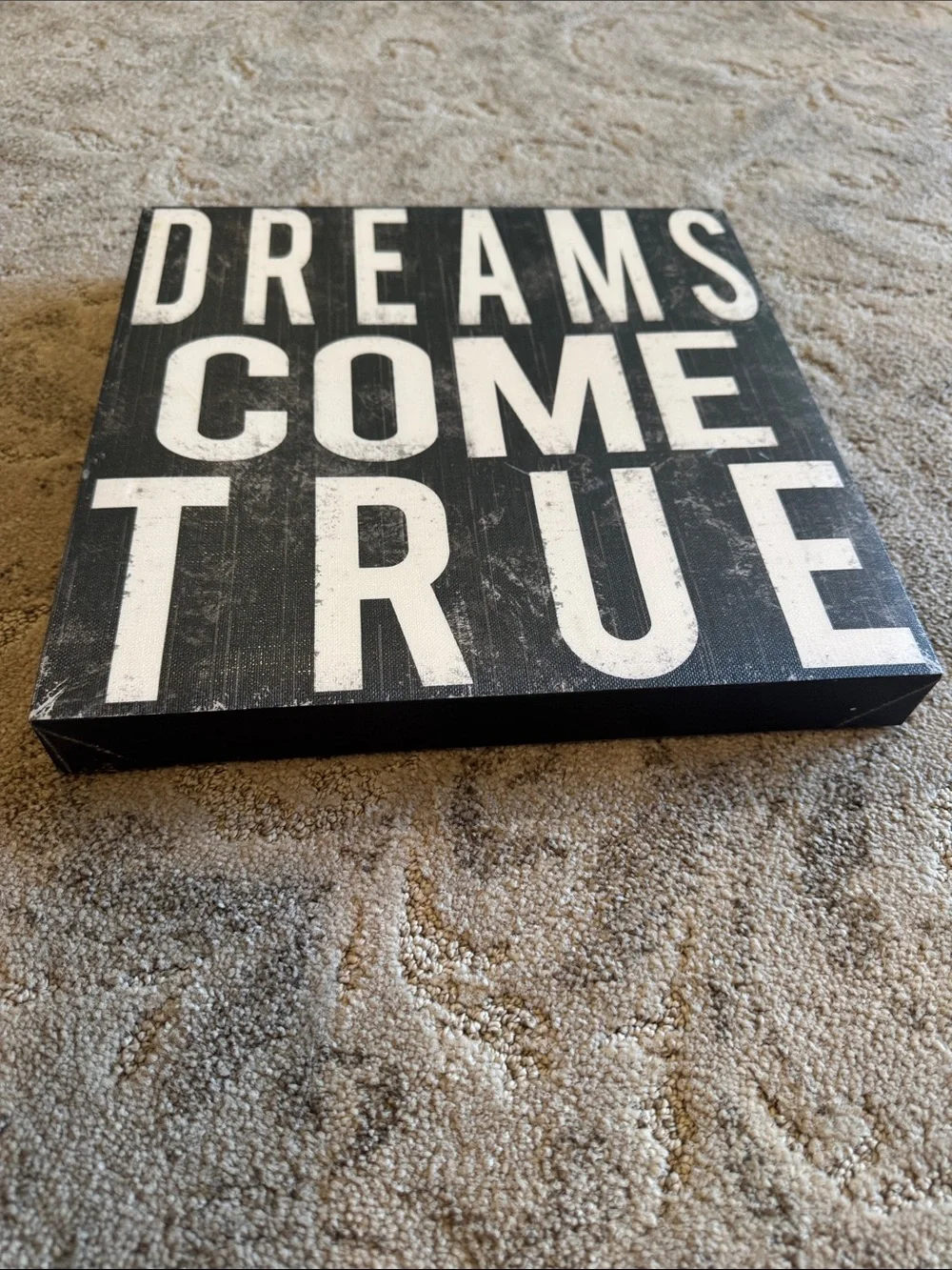 Black & White 'Dreams Come True' Wall Topography Canvas Art